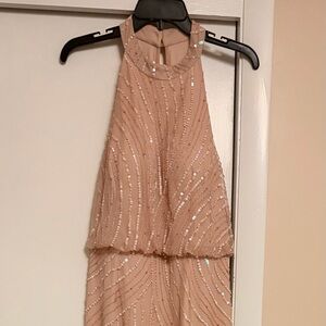 Adrianna Papell Sequin Blush Maxi Dress